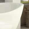 A & E Bath and Shower Salacia Acrylic 67" Premium All-in-One Oval Freestanding Tub Kit