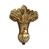 Polished Brass Clawfoot in White Background